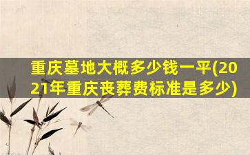重庆墓地大概多少钱一平(2021年重庆丧葬费标准是多少)