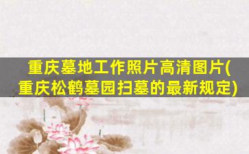 重庆墓地工作照片高清图片(重庆松鹤墓园扫墓的最新规定)