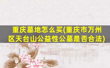 重庆墓地怎么买(重庆市万州区天台山公益性公墓是否合法)