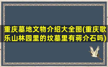 重庆墓地文物介绍大全图(重庆歌乐山林园里的坟墓里有蒋介石吗)