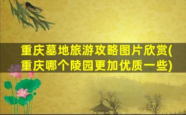 重庆墓地旅游攻略图片欣赏(重庆哪个陵园更加优质一些)