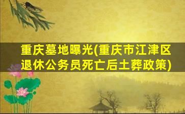 重庆墓地曝光(重庆市江津区退休公务员死亡后土葬政策)