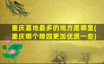 重庆墓地最多的地方是哪里(重庆哪个陵园更加优质一些)