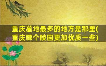 重庆墓地最多的地方是那里(重庆哪个陵园更加优质一些)