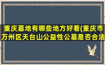 重庆墓地有哪些地方好看(重庆市万州区天台山公益性公墓是否合法)