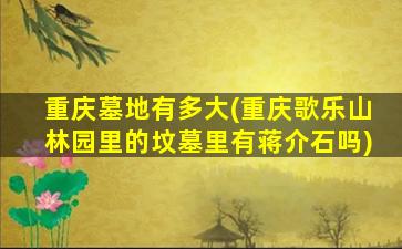 重庆墓地有多大(重庆歌乐山林园里的坟墓里有蒋介石吗)