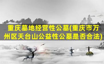 重庆墓地经营性公墓(重庆市万州区天台山公益性公墓是否合法)