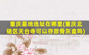 重庆墓地选址在哪里(重庆北碚区天台寺可以存放骨灰盒吗)