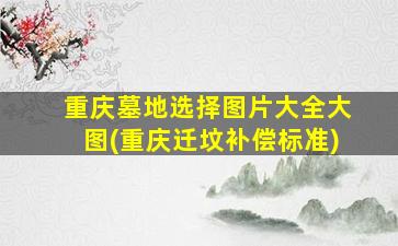 重庆墓地选择图片大全大图(重庆迁坟补偿标准)