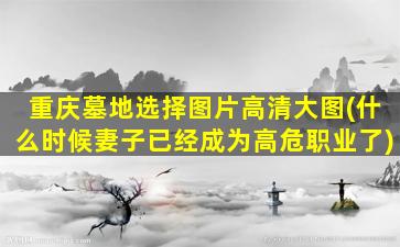 重庆墓地选择图片高清大图(什么时候妻子已经成为高危职业了)
