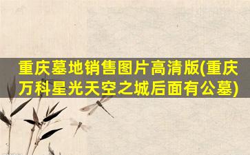 重庆墓地销售图片高清版(重庆万科星光天空之城后面有公墓)