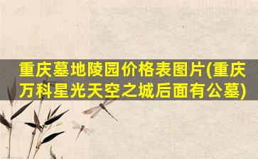 重庆墓地陵园价格表图片(重庆万科星光天空之城后面有公墓)