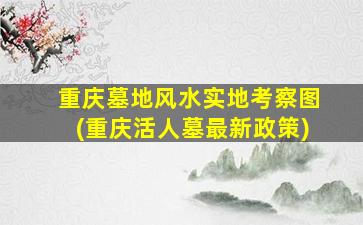 重庆墓地风水实地考察图(重庆活人墓最新政策)