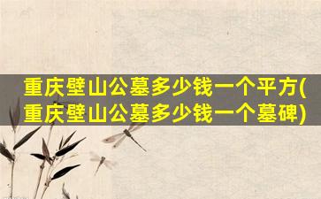 重庆壁山公墓多少钱一个平方(重庆壁山公墓多少钱一个墓碑)