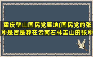 重庆壁山国民党墓地(国民党的张冲是否是葬在云南石林圭山的张冲)