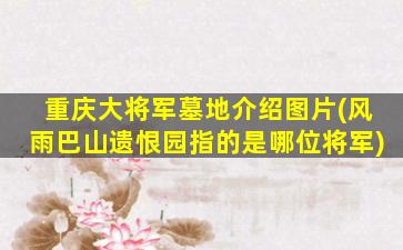 重庆大将军墓地介绍图片(风雨巴山遗恨园指的是哪位将军)