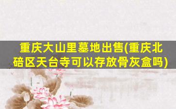 重庆大山里墓地出售(重庆北碚区天台寺可以存放骨灰盒吗)