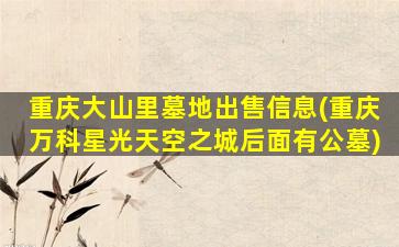 重庆大山里墓地出售信息(重庆万科星光天空之城后面有公墓)
