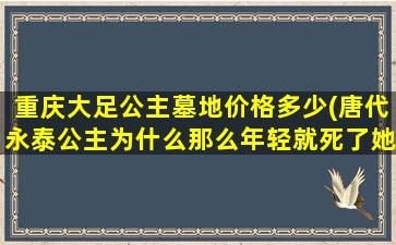 重庆大足公主墓地价格多少(唐代永泰公主为什么那么年轻就死了她的陵墓是怎样的)