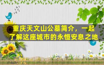 重庆天文山公墓简介，一起了解这座城市的永恒安息之地