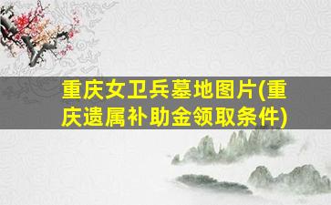 重庆女卫兵墓地图片(重庆遗属补助金领取条件)