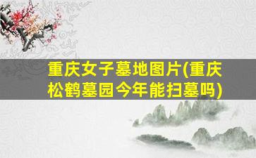 重庆女子墓地图片(重庆松鹤墓园今年能扫墓吗)