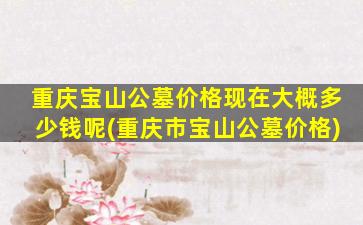 重庆宝山公墓价格现在大概多少钱呢(重庆市宝山公墓价格)