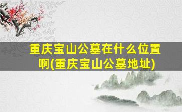 重庆宝山公墓在什么位置啊(重庆宝山公墓地址)