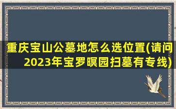 重庆宝山公墓地怎么选位置(请问2023年宝罗暝园扫墓有专线)