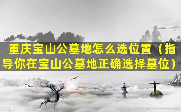 重庆宝山公墓地怎么选位置（指导你在宝山公墓地正确选择墓位）