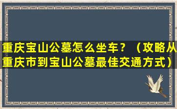 重庆宝山公墓怎么坐车？（攻略从重庆市到宝山公墓最佳交通方式）