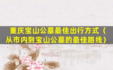 重庆宝山公墓最佳出行方式（从市内到宝山公墓的最佳路线）