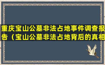 重庆宝山公墓非法占地事件调查报告（宝山公墓非法占地背后的真相）