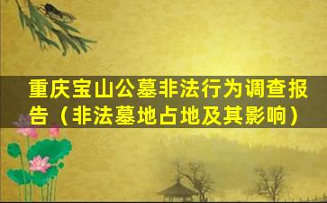 重庆宝山公墓非法行为调查报告（非法墓地占地及其影响）