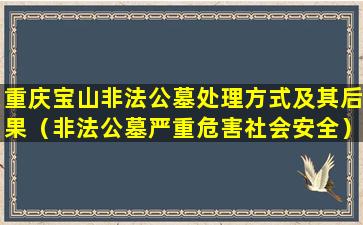 重庆宝山非法公墓处理方式及其后果（非法公墓严重危害社会安全）