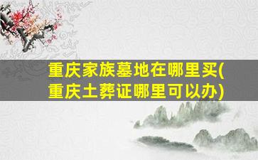 重庆家族墓地在哪里买(重庆土葬证哪里可以办)