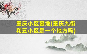 重庆小区墓地(重庆九街和五小区是一个地方吗)