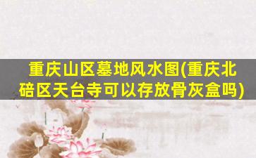 重庆山区墓地风水图(重庆北碚区天台寺可以存放骨灰盒吗)