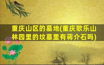 重庆山区的墓地(重庆歌乐山林园里的坟墓里有蒋介石吗)