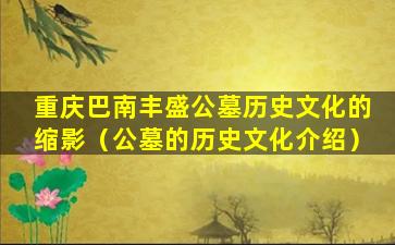 重庆巴南丰盛公墓历史文化的缩影（公墓的历史文化介绍）