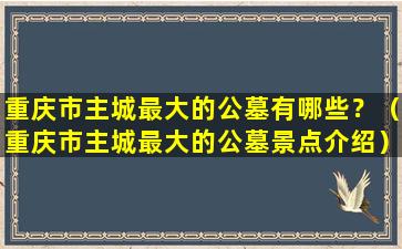 重庆市主城最大的公墓有哪些？（重庆市主城最大的公墓景点介绍）