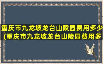 重庆市九龙坡龙台山陵园费用多少(重庆市九龙坡龙台山陵园费用多少钱)