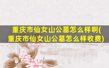 重庆市仙女山公墓怎么样啊(重庆市仙女山公墓怎么样收费)