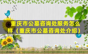 重庆市公墓咨询处服务怎么样（重庆市公墓咨询处介绍）