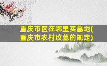重庆市区在哪里买墓地(重庆市农村坟墓的规定)