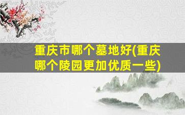 重庆市哪个墓地好(重庆哪个陵园更加优质一些)