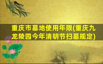 重庆市墓地使用年限(重庆九龙陵园今年清明节扫墓规定)