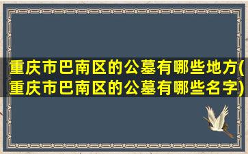 重庆市巴南区的公墓有哪些地方(重庆市巴南区的公墓有哪些名字)