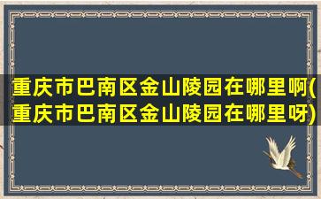 重庆市巴南区金山陵园在哪里啊(重庆市巴南区金山陵园在哪里呀)