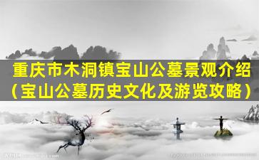重庆市木洞镇宝山公墓景观介绍（宝山公墓历史文化及游览攻略）